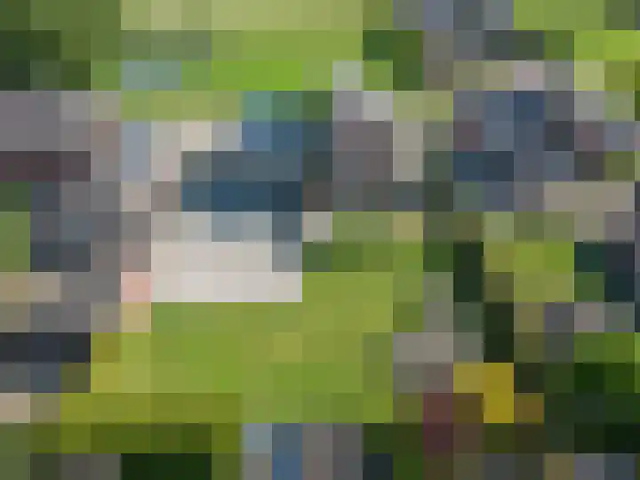 Oosterom 8 Sneek thumbnail 106