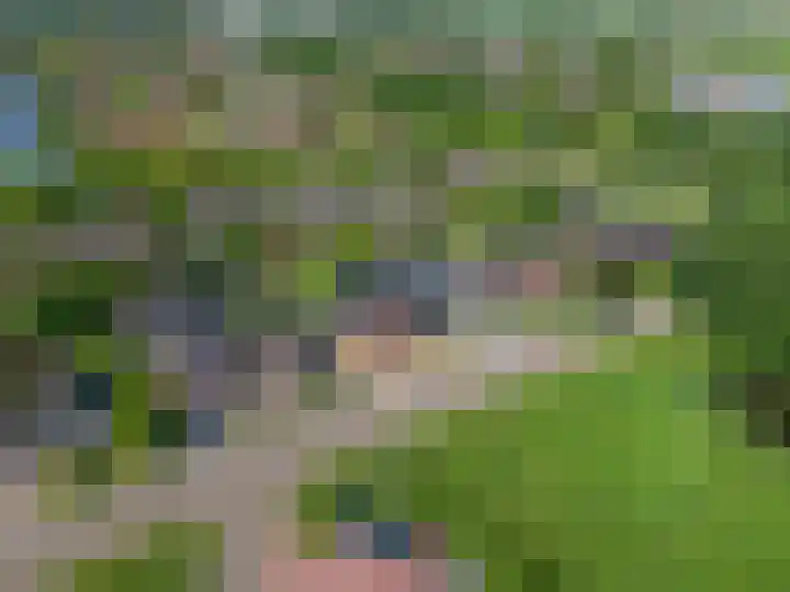 Oosterom 8 Sneek thumbnail 17