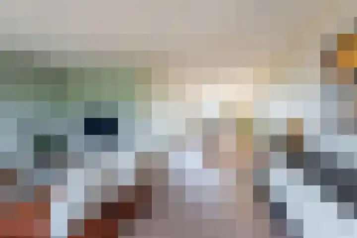 Oosterom 8 Sneek thumbnail 25
