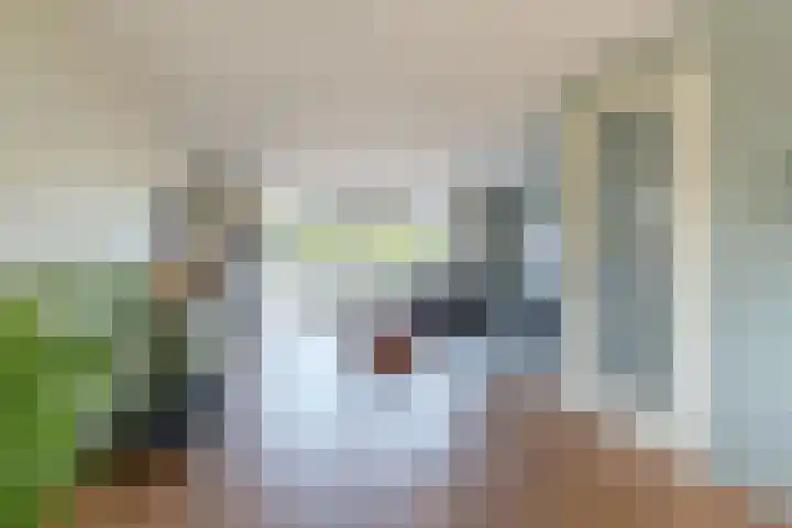 Oosterom 8 Sneek thumbnail 27