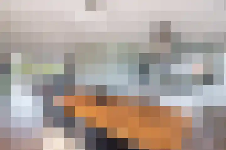 Oosterom 8 Sneek thumbnail 31