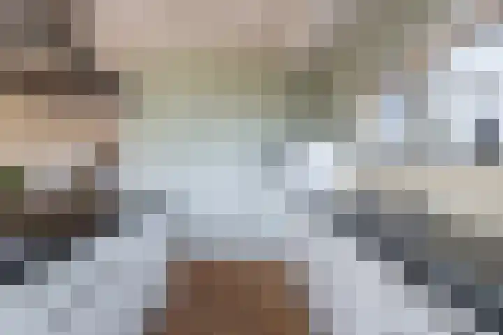 Oosterom 8 Sneek thumbnail 34