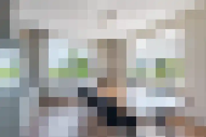 Oosterom 8 Sneek thumbnail 37