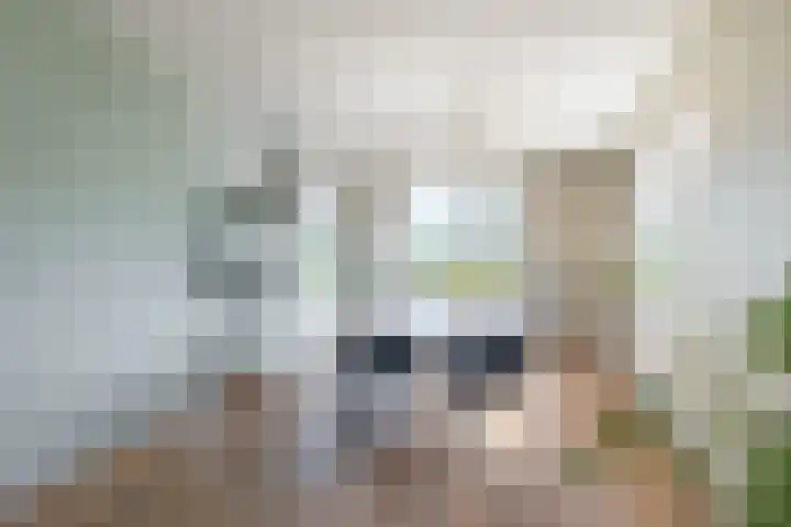 Oosterom 8 Sneek thumbnail 39
