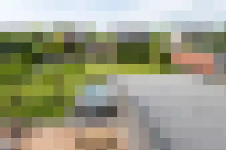 Oosterom 8 Sneek thumbnail 44