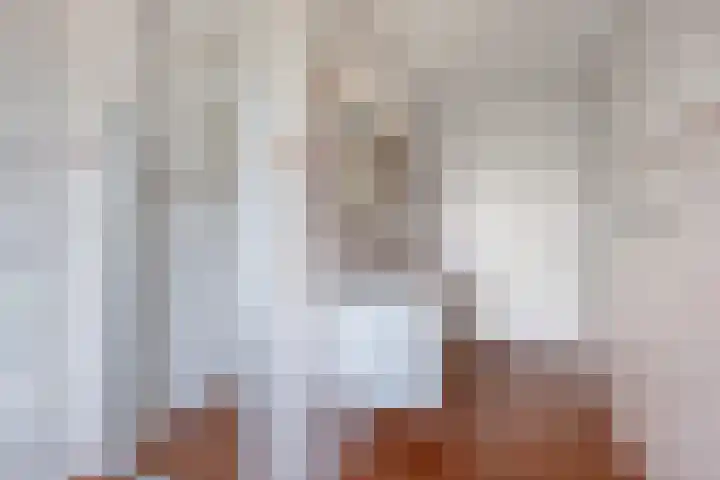 Oosterom 8 Sneek thumbnail 61