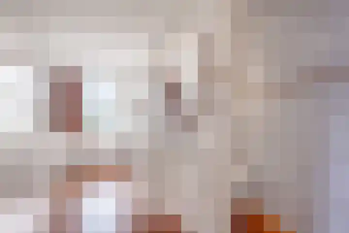 Oosterom 8 Sneek thumbnail 66