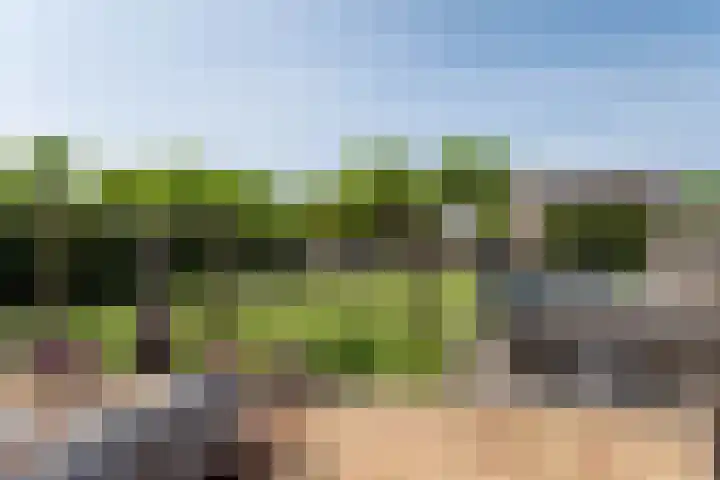 Oosterom 8 Sneek thumbnail 95