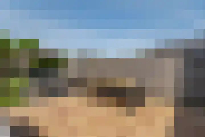 Oosterom 8 Sneek thumbnail 97