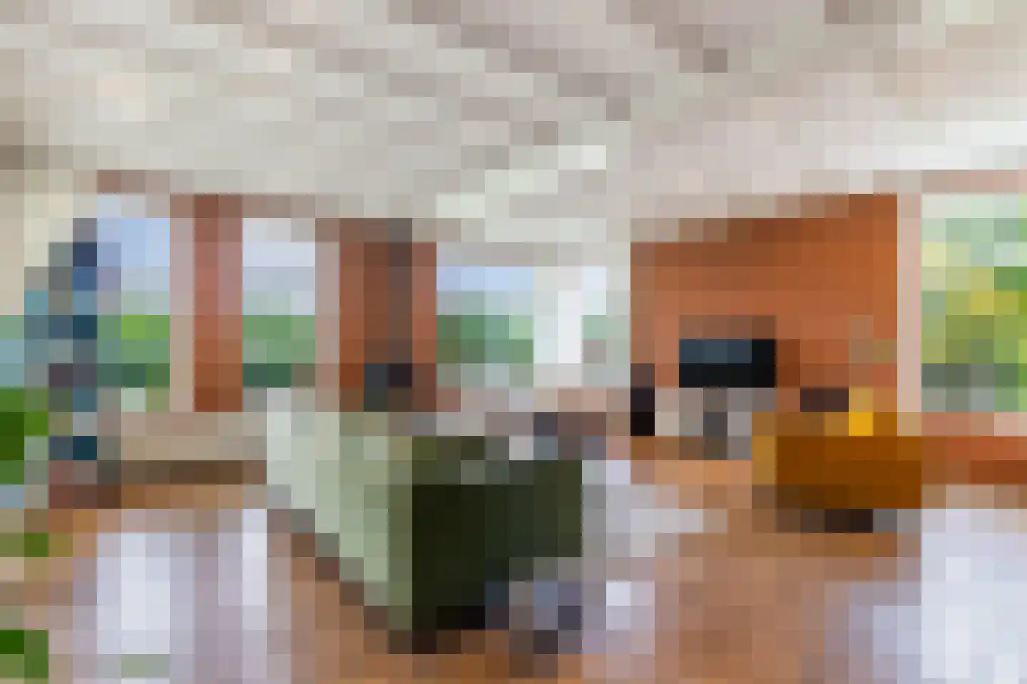 Oosterpaasloërweg 2 Paasloo thumbnail 10