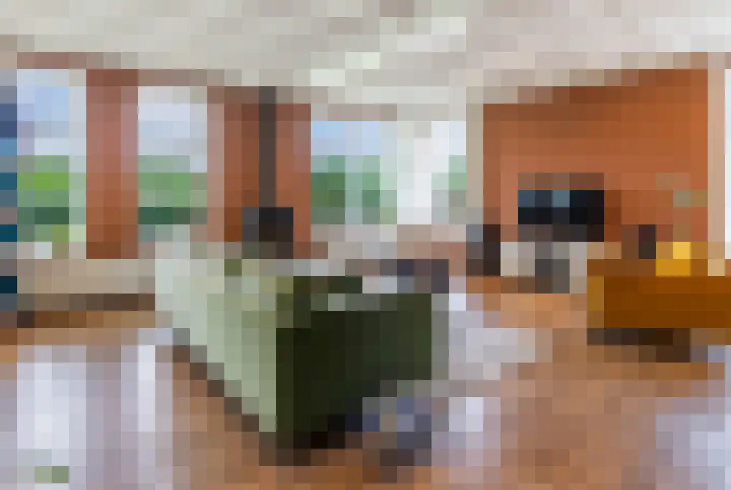 Oosterpaasloërweg 2 Paasloo thumbnail 10
