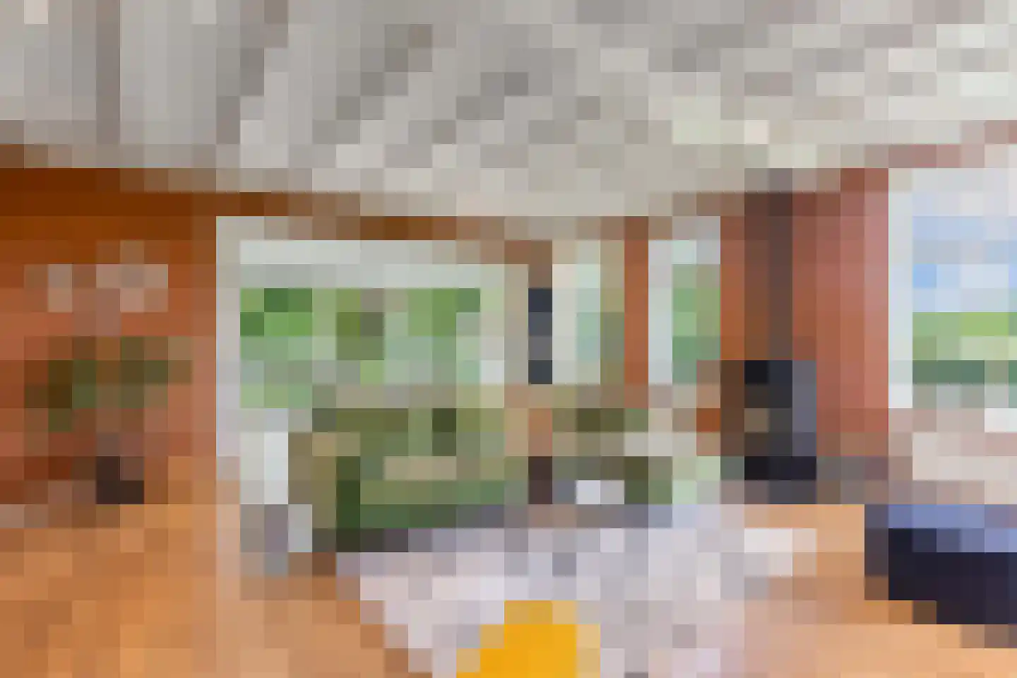 Oosterpaasloërweg 2 Paasloo thumbnail 11