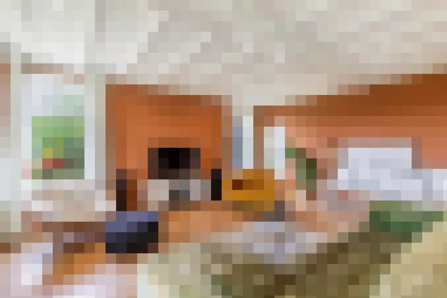 Oosterpaasloërweg 2 Paasloo thumbnail 12