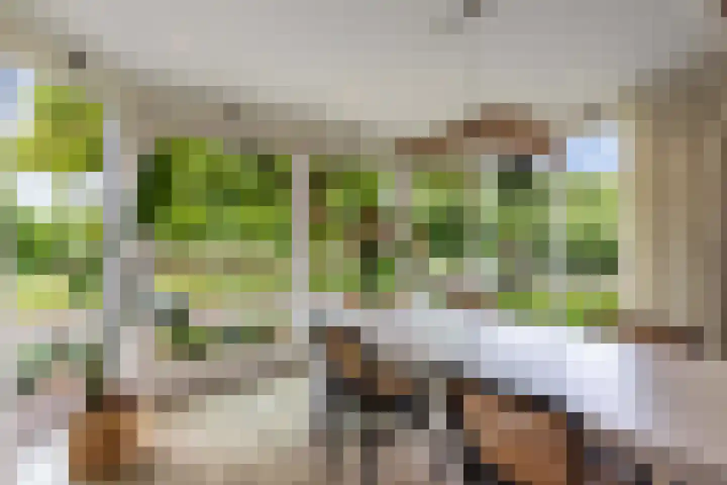 Oosterpaasloërweg 2 Paasloo thumbnail 14