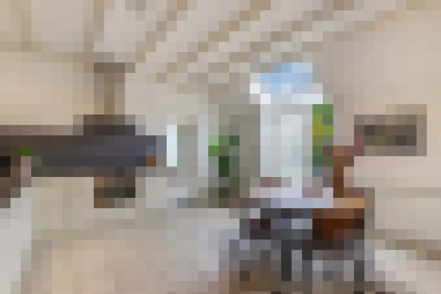 Oosterpaasloërweg 2 Paasloo thumbnail 15