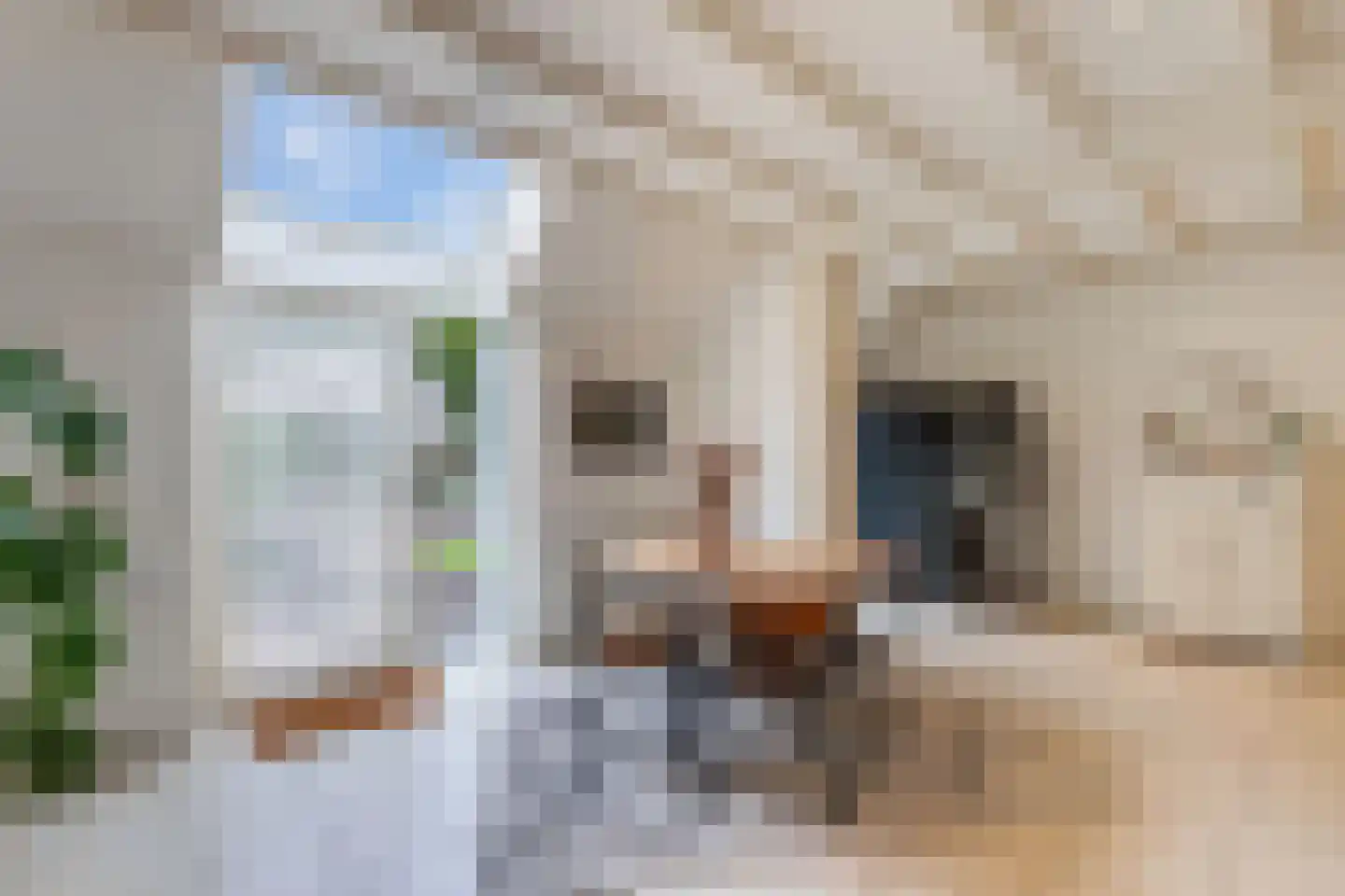 Oosterpaasloërweg 2 Paasloo thumbnail 16