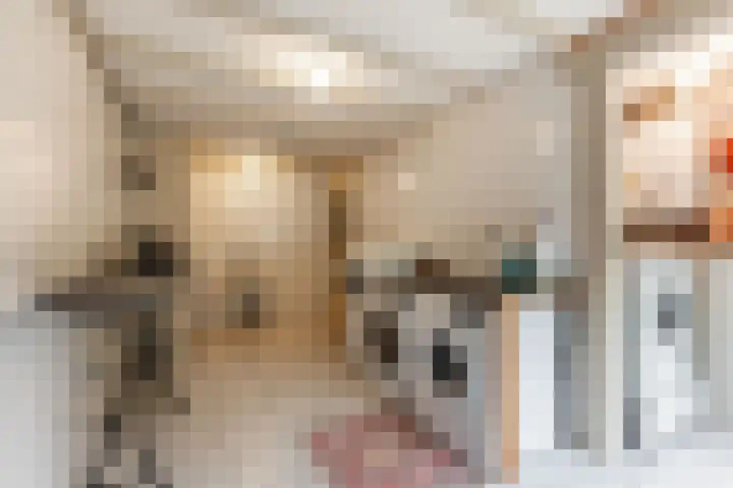 Oosterpaasloërweg 2 Paasloo thumbnail 17
