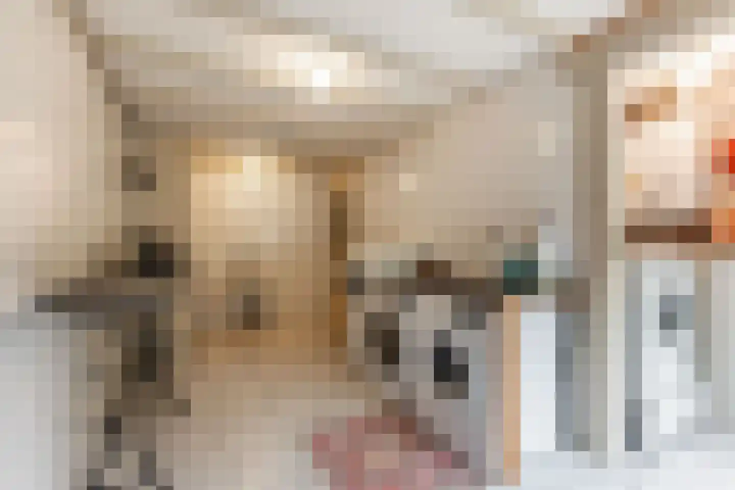 Oosterpaasloërweg 2 Paasloo thumbnail 17