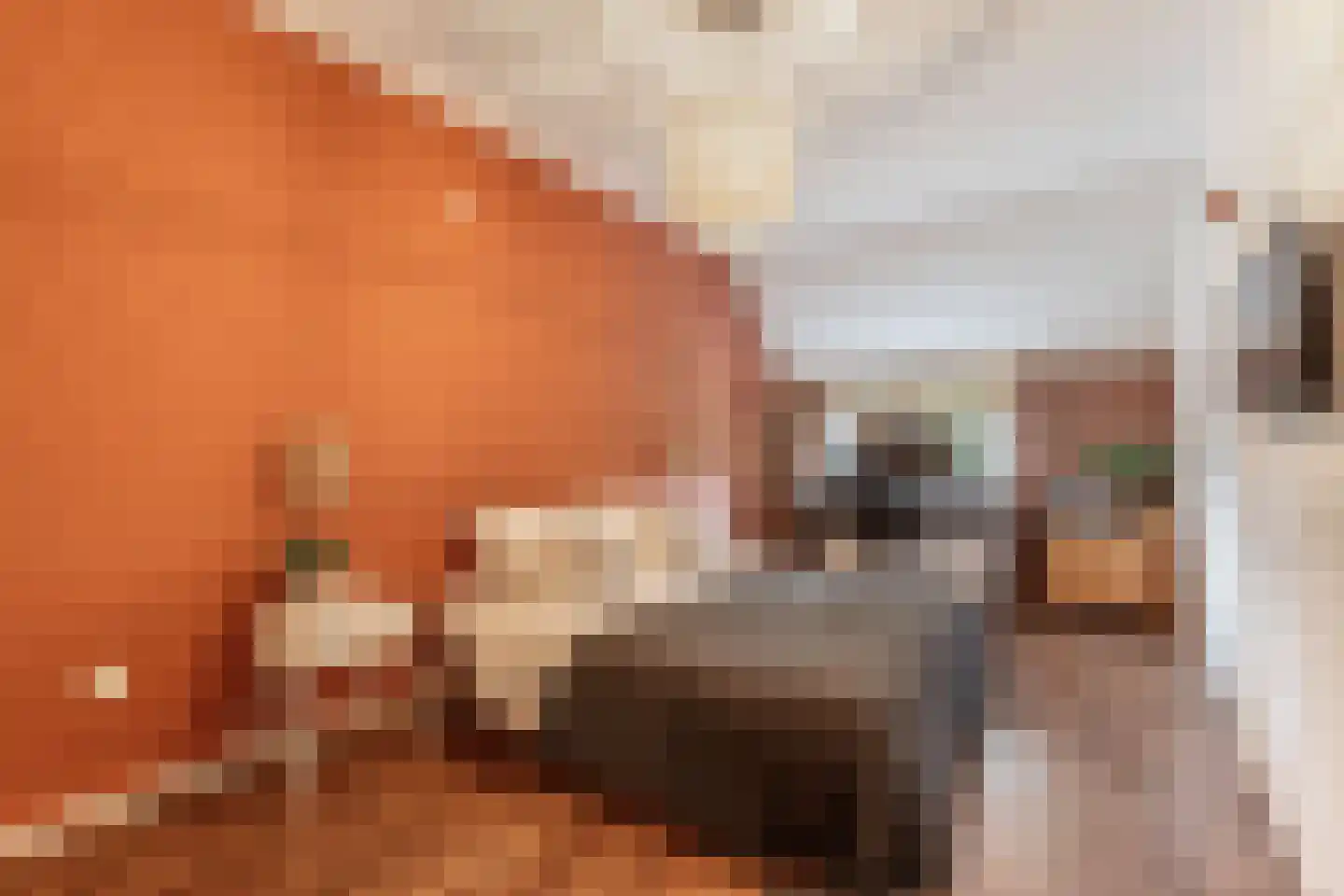 Oosterpaasloërweg 2 Paasloo thumbnail 18