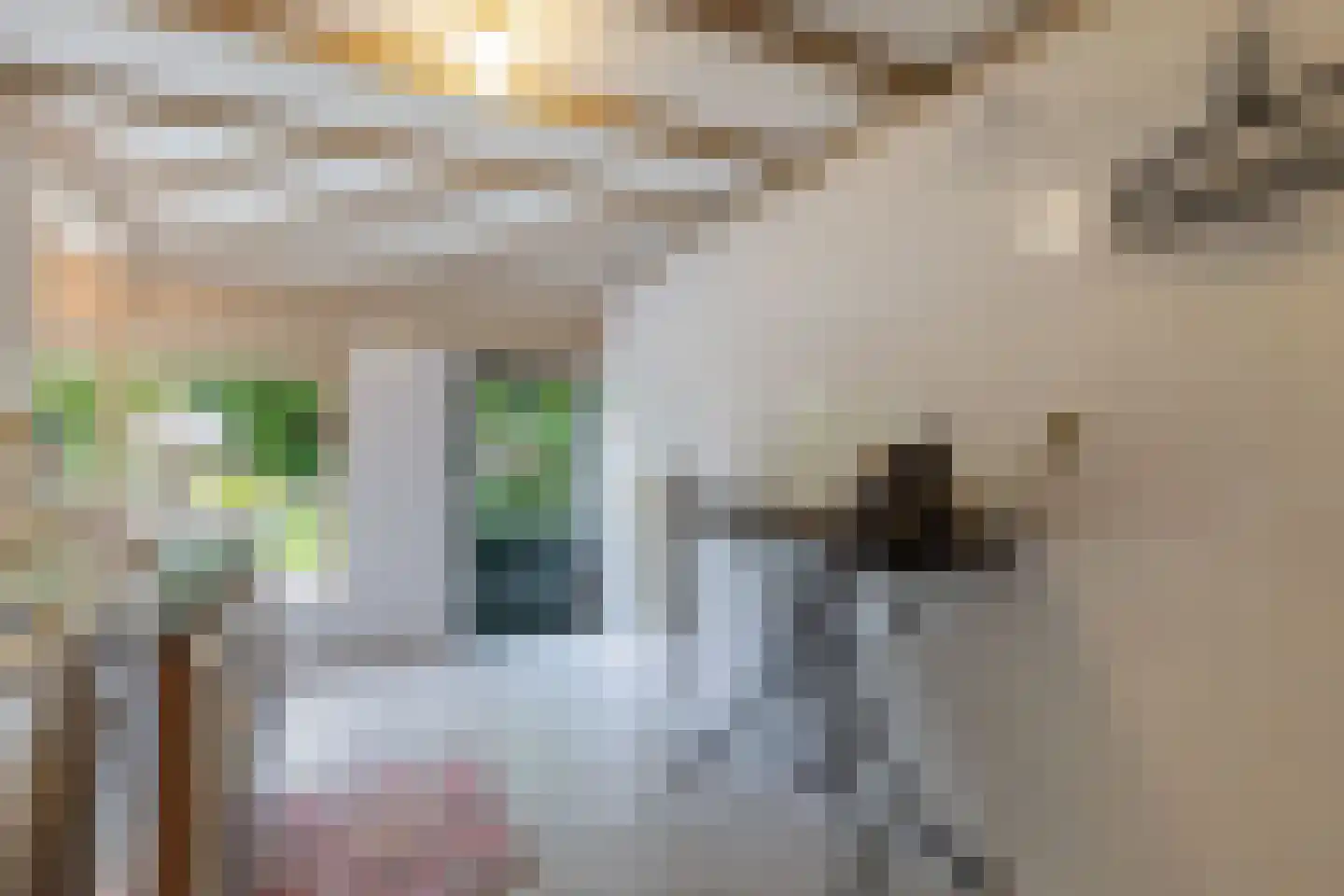 Oosterpaasloërweg 2 Paasloo thumbnail 18
