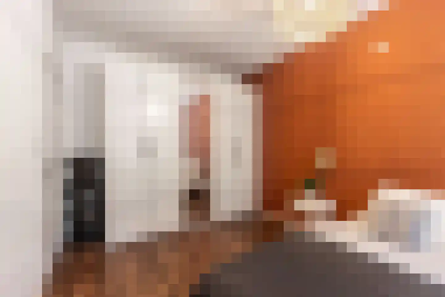 Oosterpaasloërweg 2 Paasloo thumbnail 19
