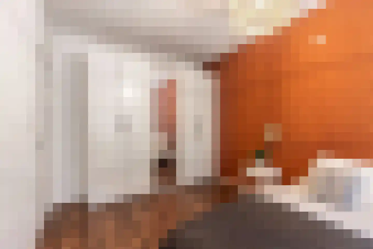 Oosterpaasloërweg 2 Paasloo thumbnail 20