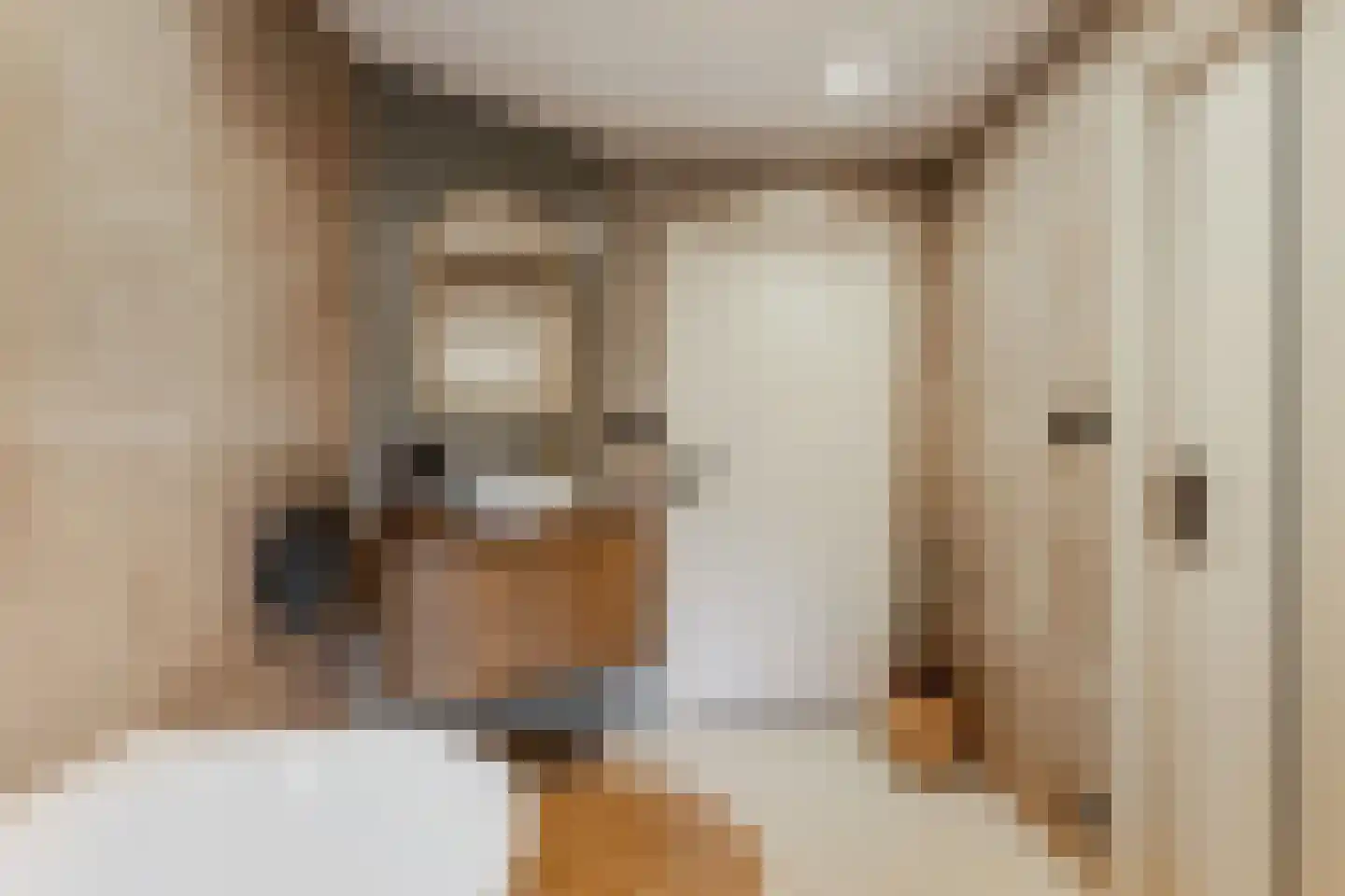 Oosterpaasloërweg 2 Paasloo thumbnail 22