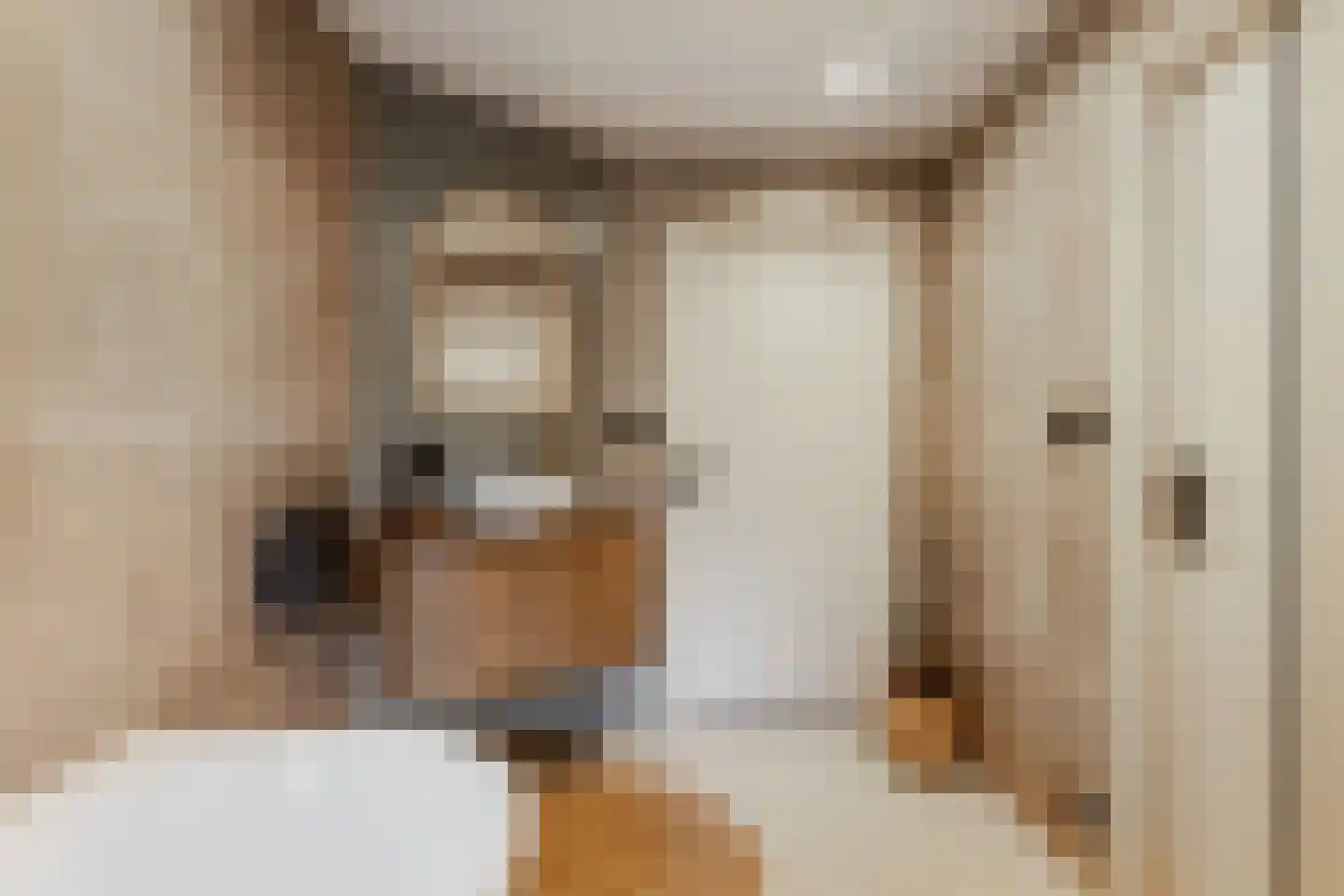 Oosterpaasloërweg 2 Paasloo thumbnail 22