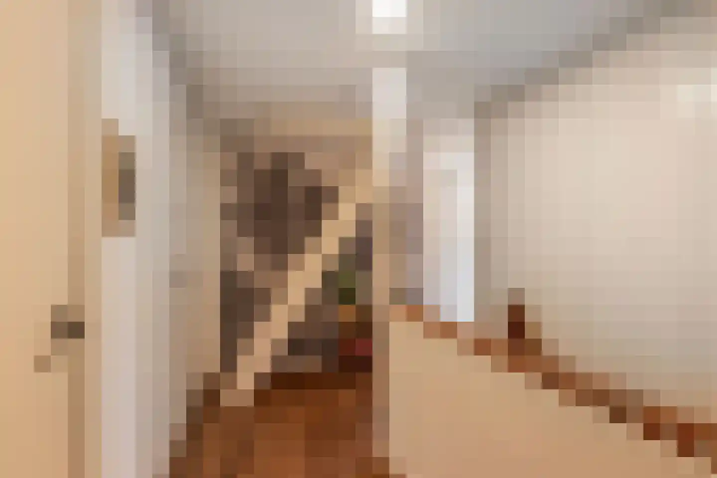 Oosterpaasloërweg 2 Paasloo thumbnail 24
