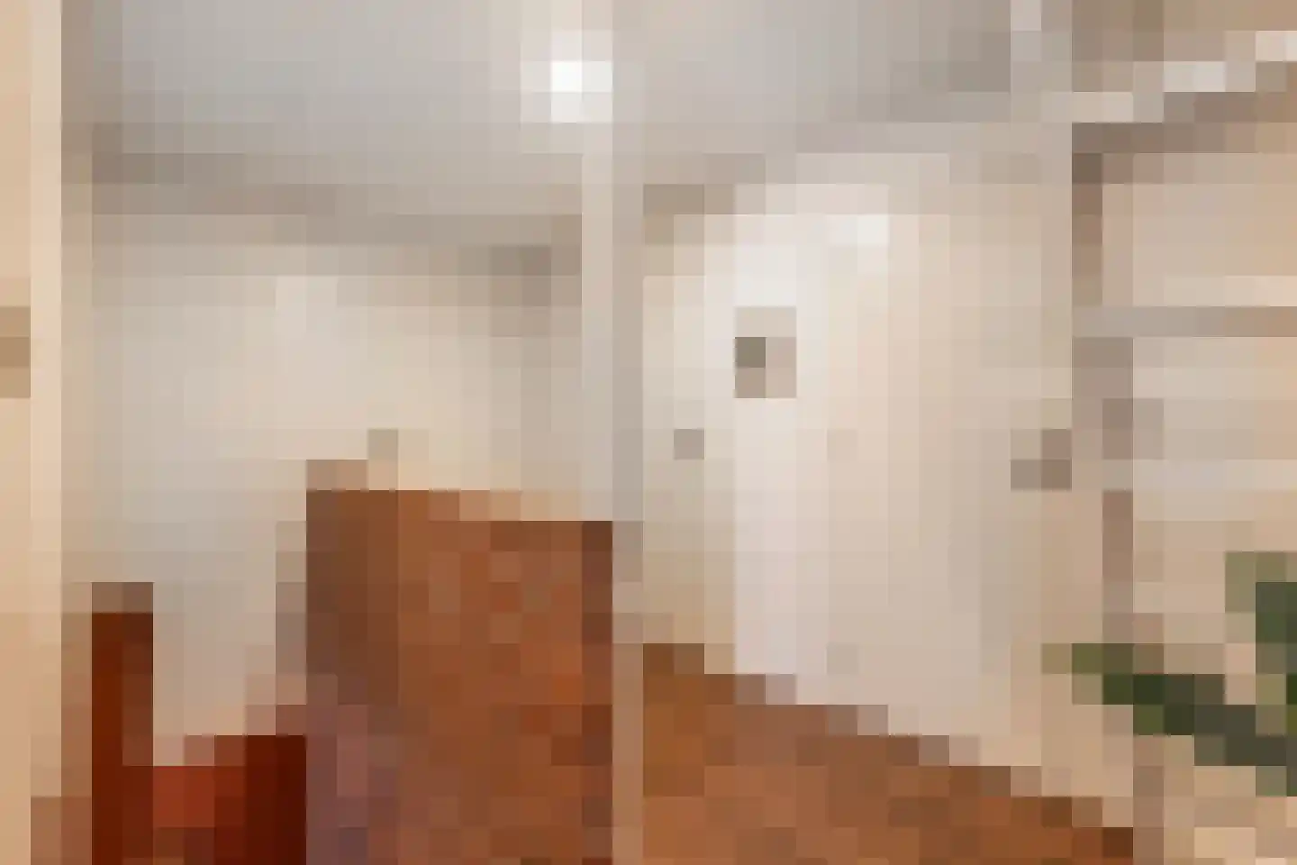 Oosterpaasloërweg 2 Paasloo thumbnail 25