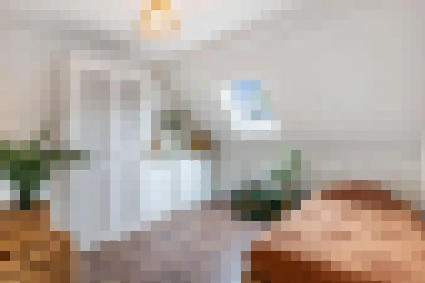 Oosterpaasloërweg 2 Paasloo thumbnail 27