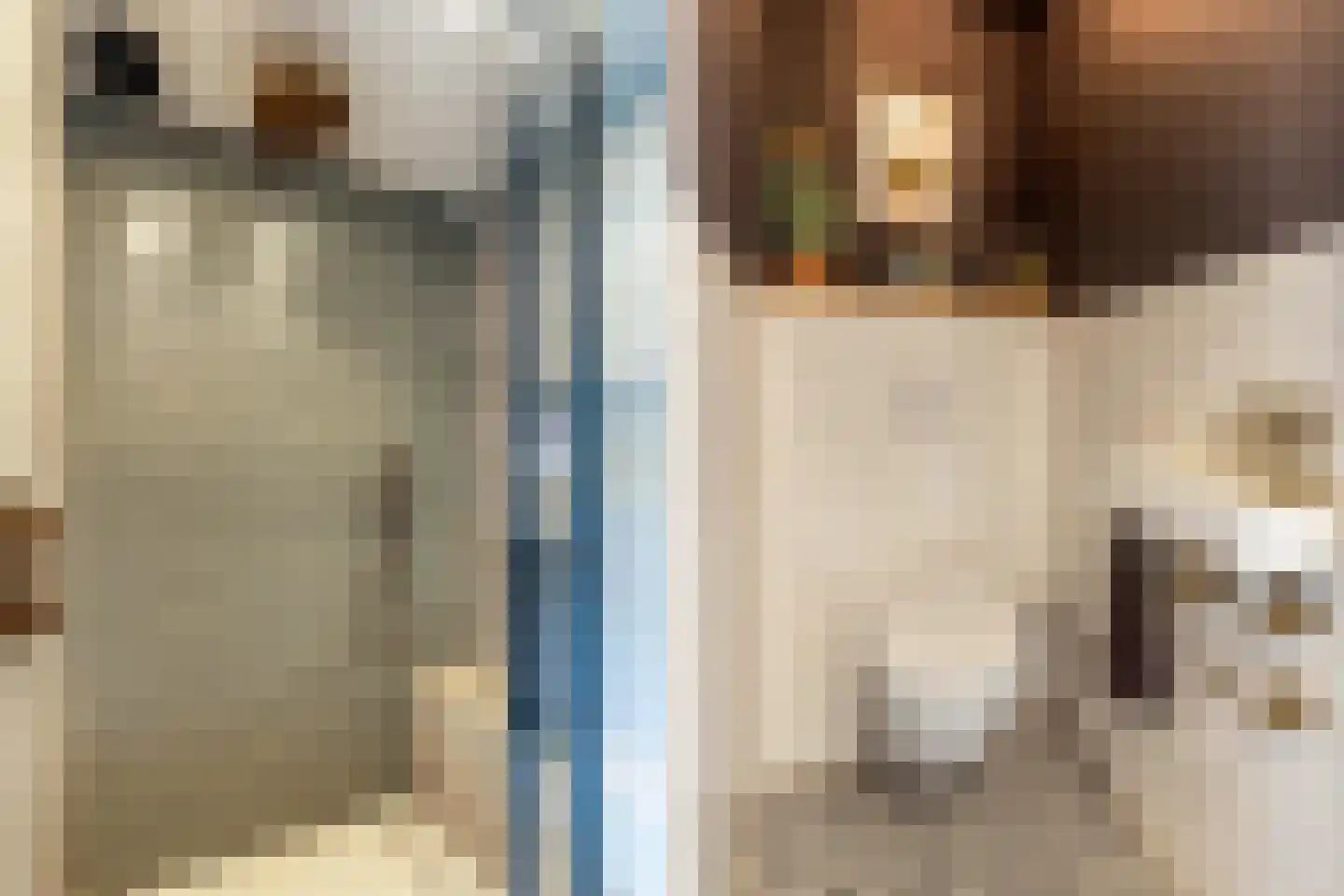 Oosterpaasloërweg 2 Paasloo thumbnail 30