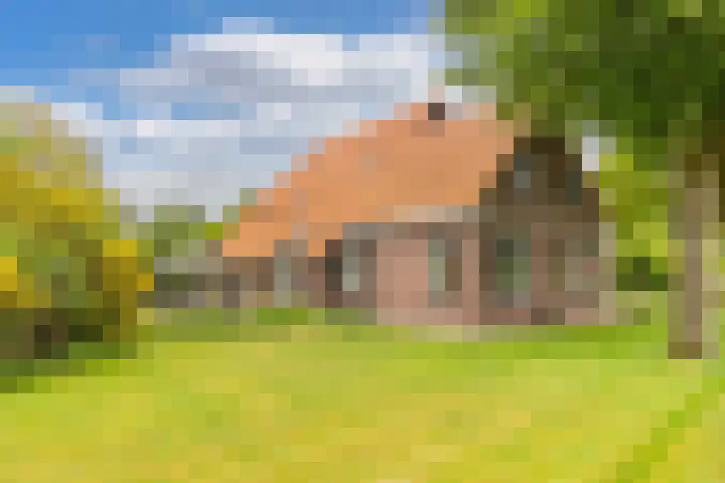 Oosterpaasloërweg 2 Paasloo thumbnail 34