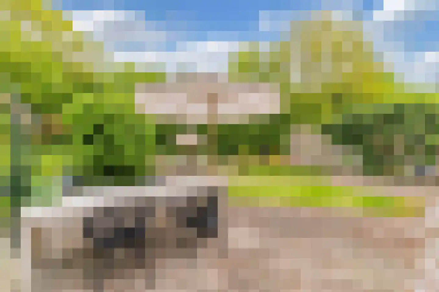Oosterpaasloërweg 2 Paasloo thumbnail 36