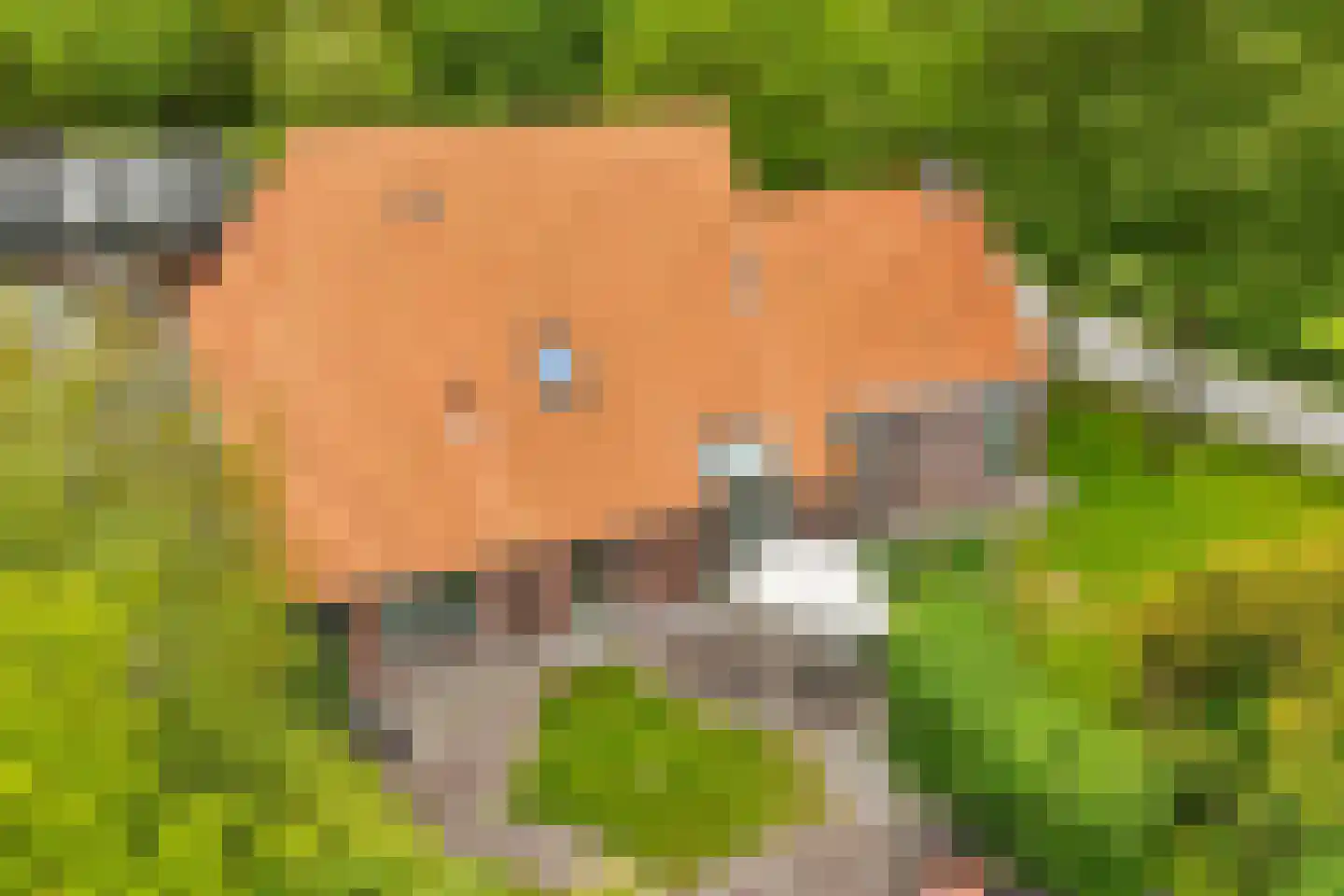 Oosterpaasloërweg 2 Paasloo thumbnail 37
