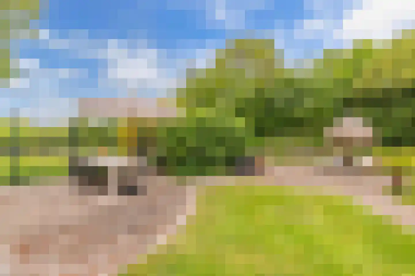 Oosterpaasloërweg 2 Paasloo thumbnail 37