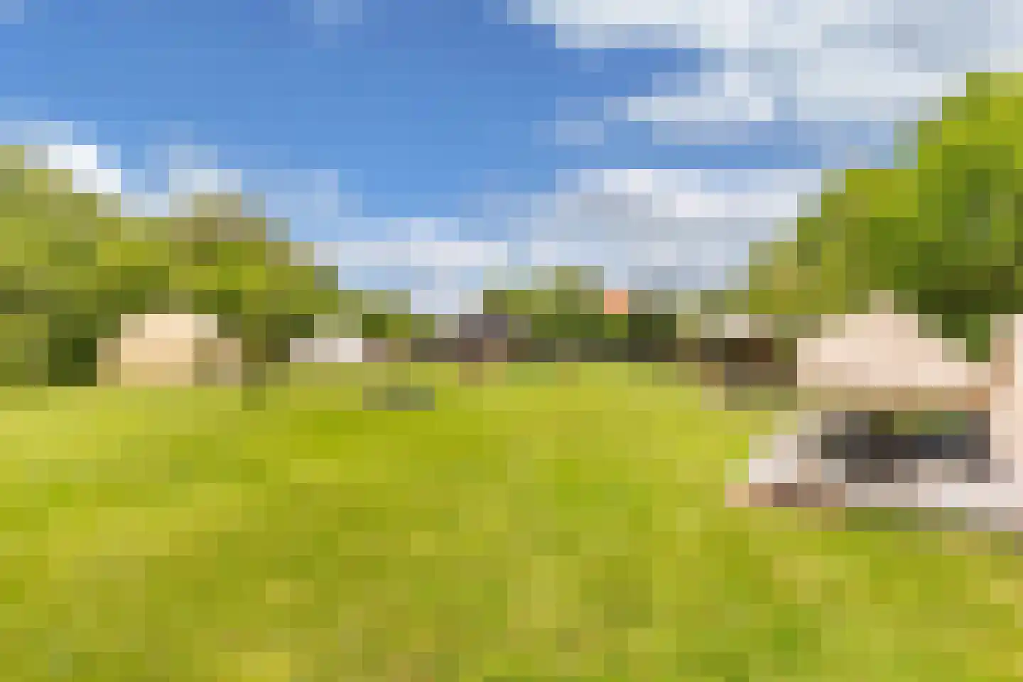 Oosterpaasloërweg 2 Paasloo thumbnail 4