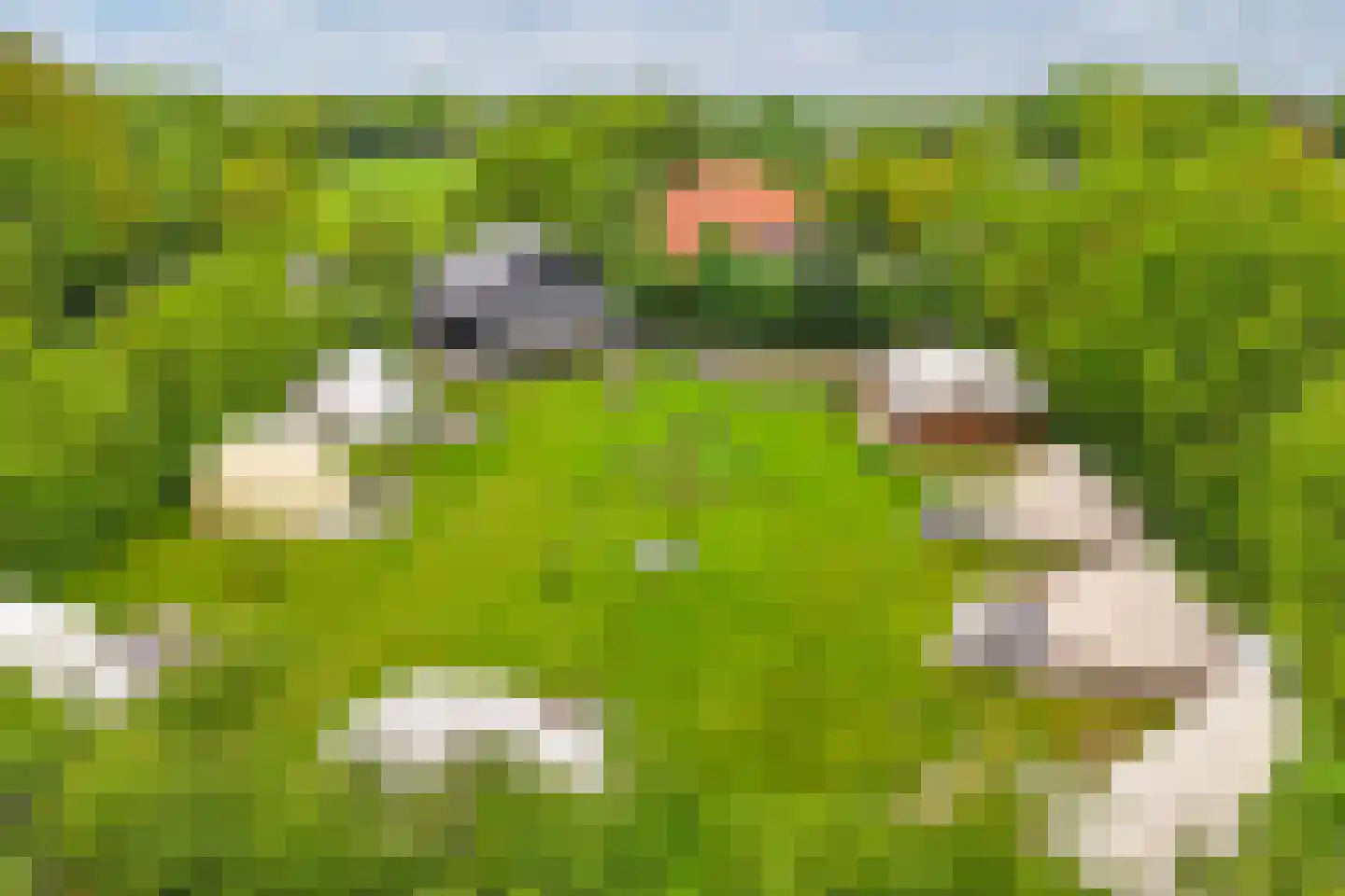 Oosterpaasloërweg 2 Paasloo thumbnail 40