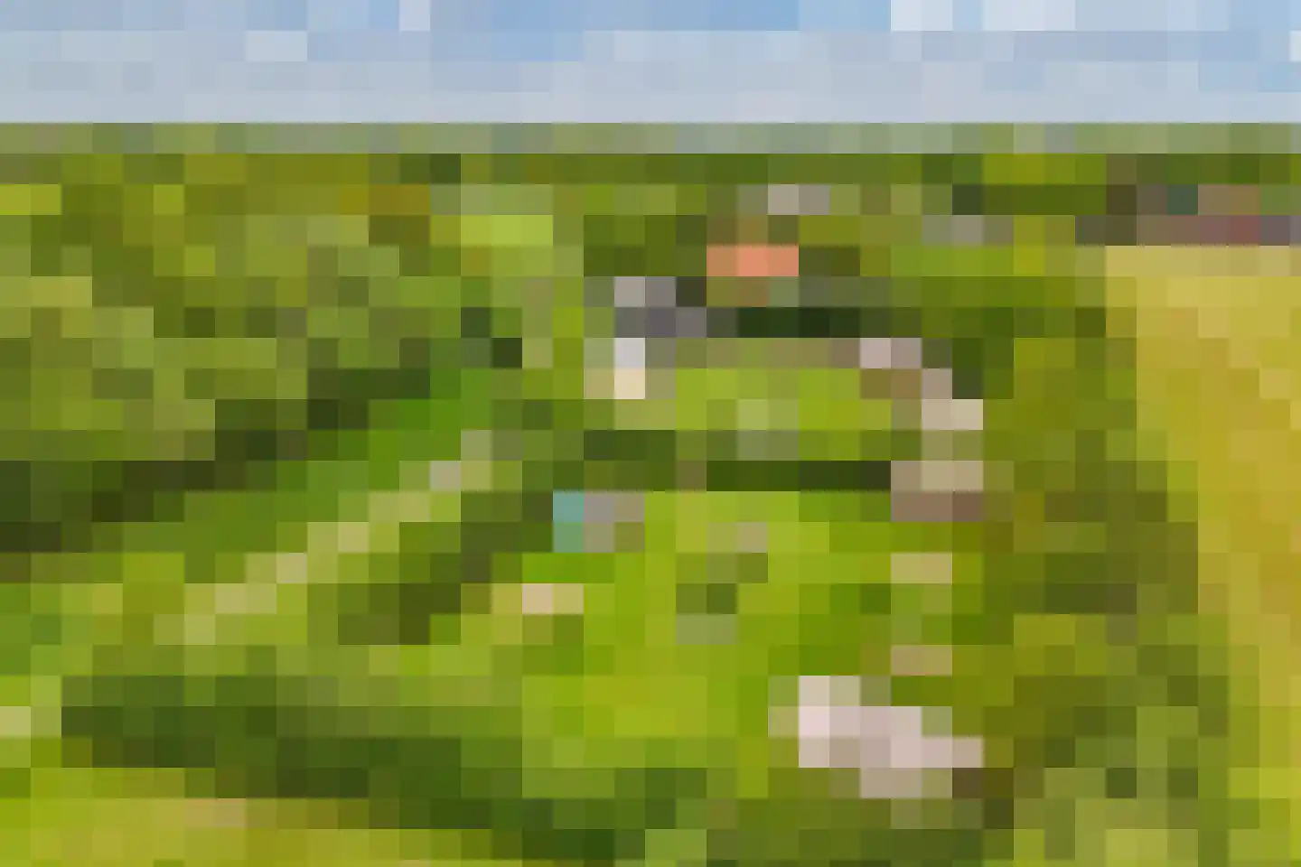 Oosterpaasloërweg 2 Paasloo thumbnail 41