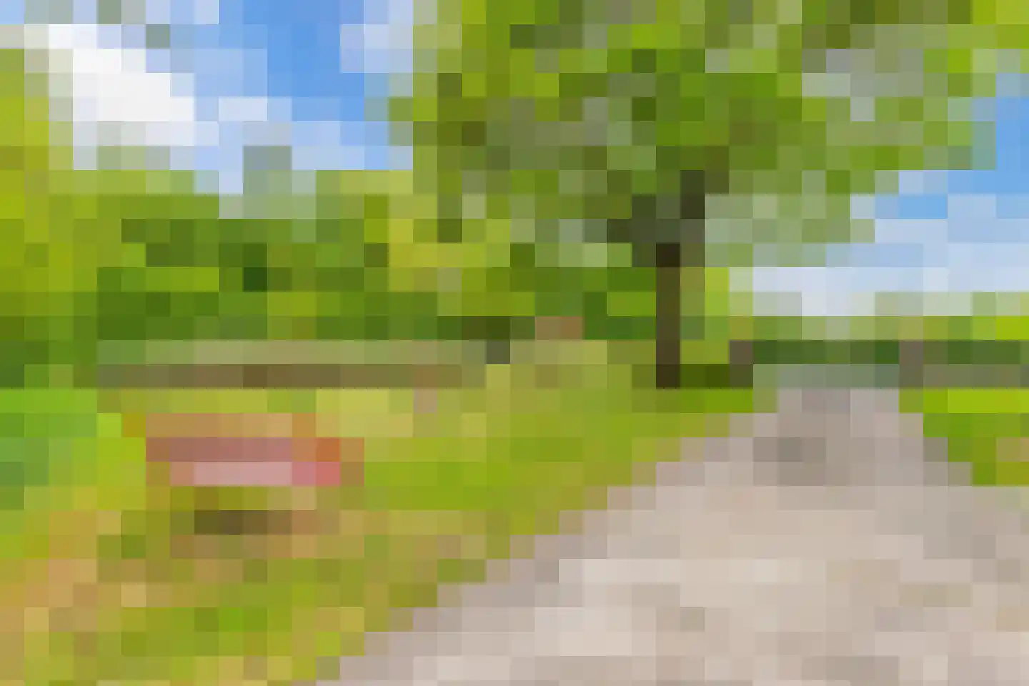 Oosterpaasloërweg 2 Paasloo thumbnail 43