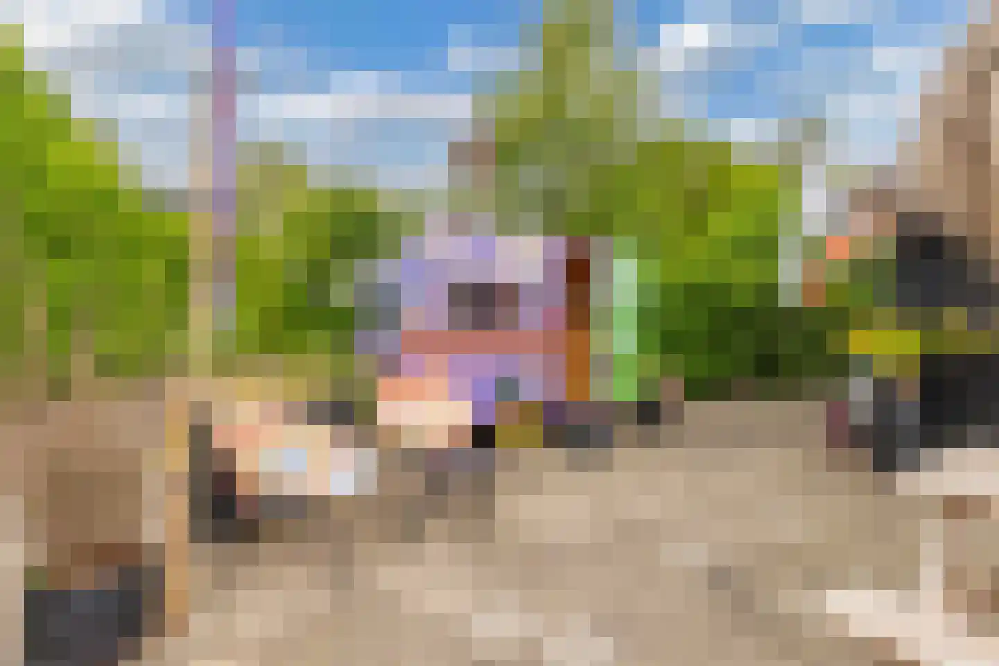 Oosterpaasloërweg 2 Paasloo thumbnail 46