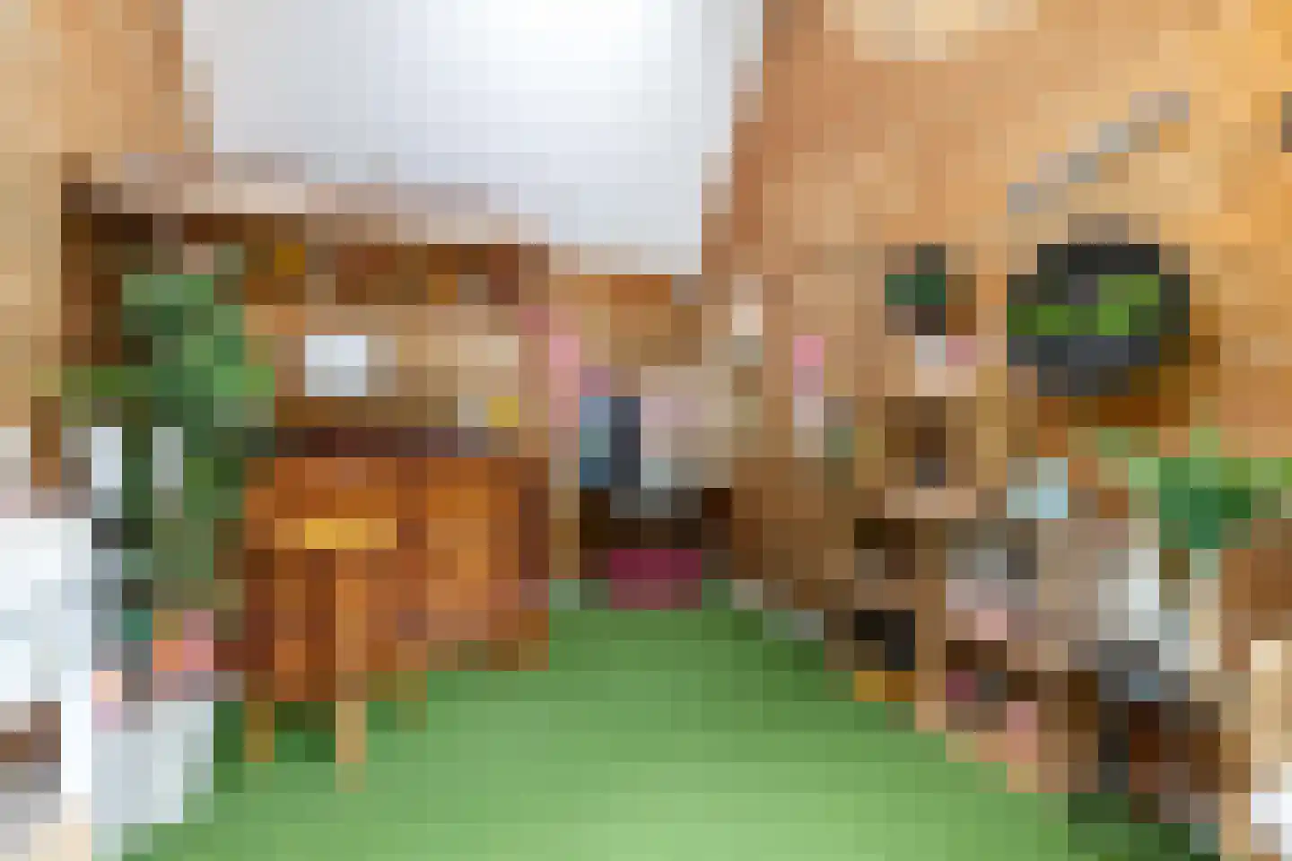 Oosterpaasloërweg 2 Paasloo thumbnail 49