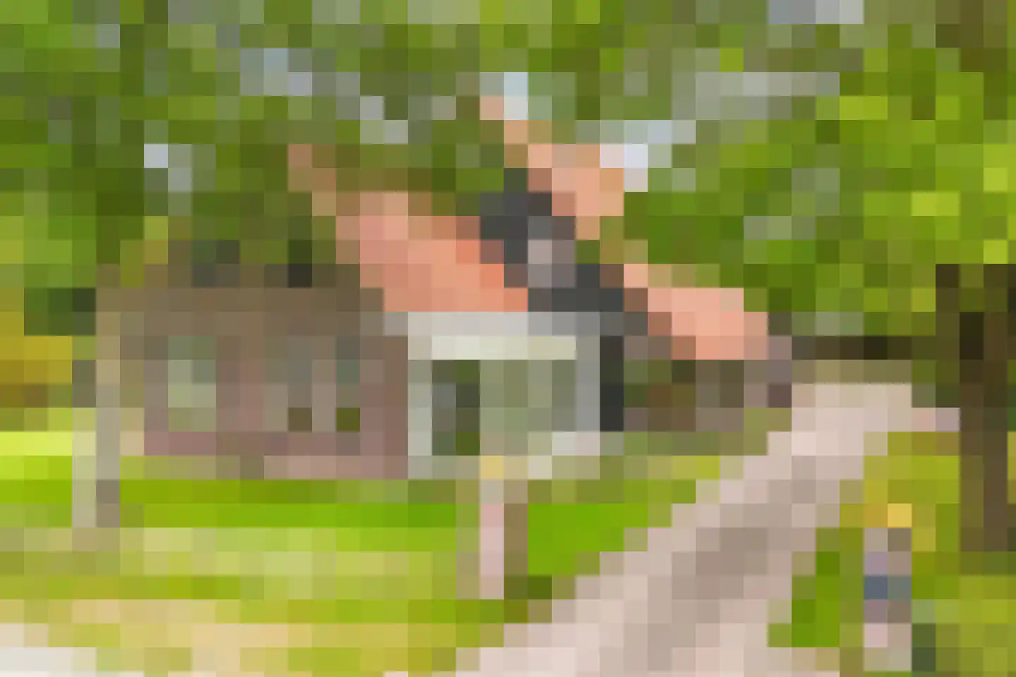 Oosterpaasloërweg 2 Paasloo thumbnail 5