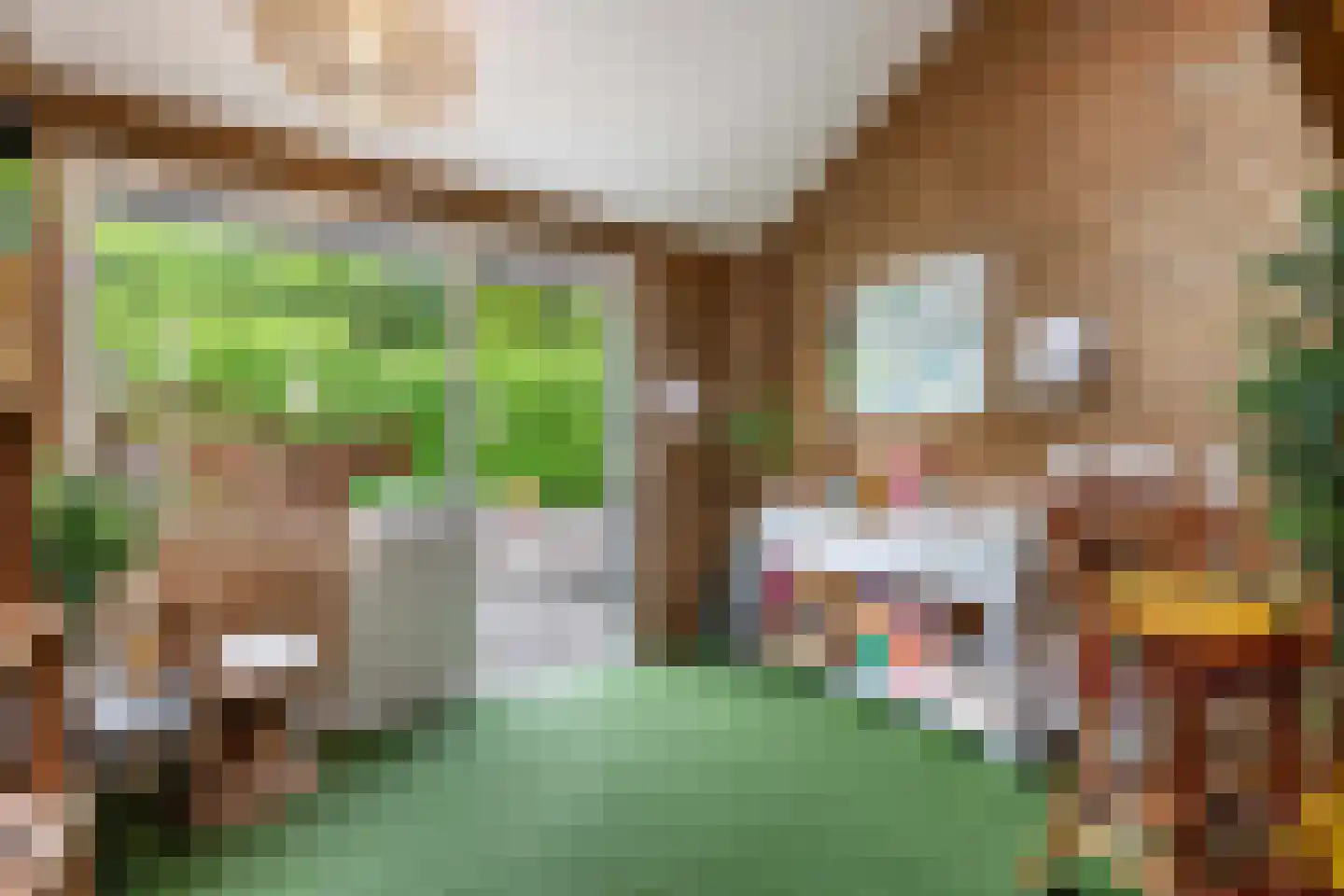 Oosterpaasloërweg 2 Paasloo thumbnail 50