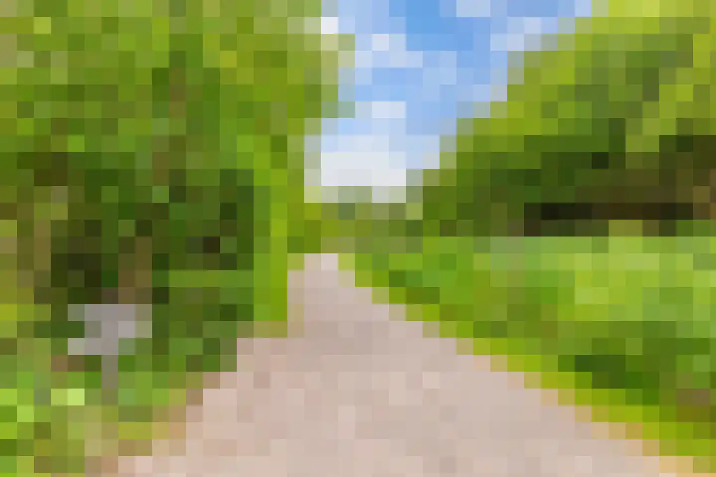 Oosterpaasloërweg 2 Paasloo thumbnail 55