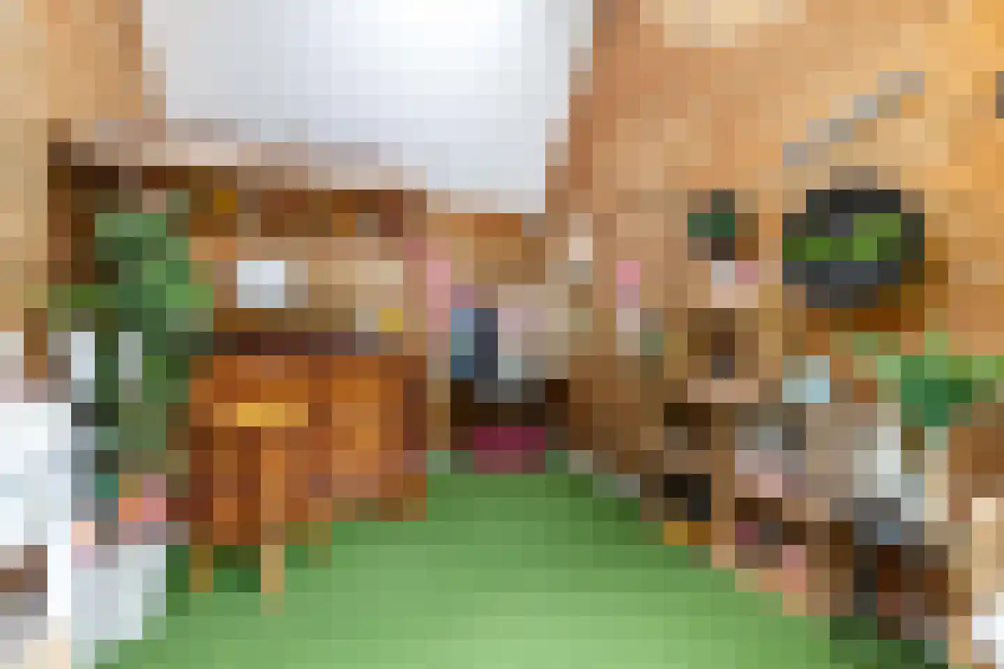 Oosterpaasloërweg 2 Paasloo thumbnail 55