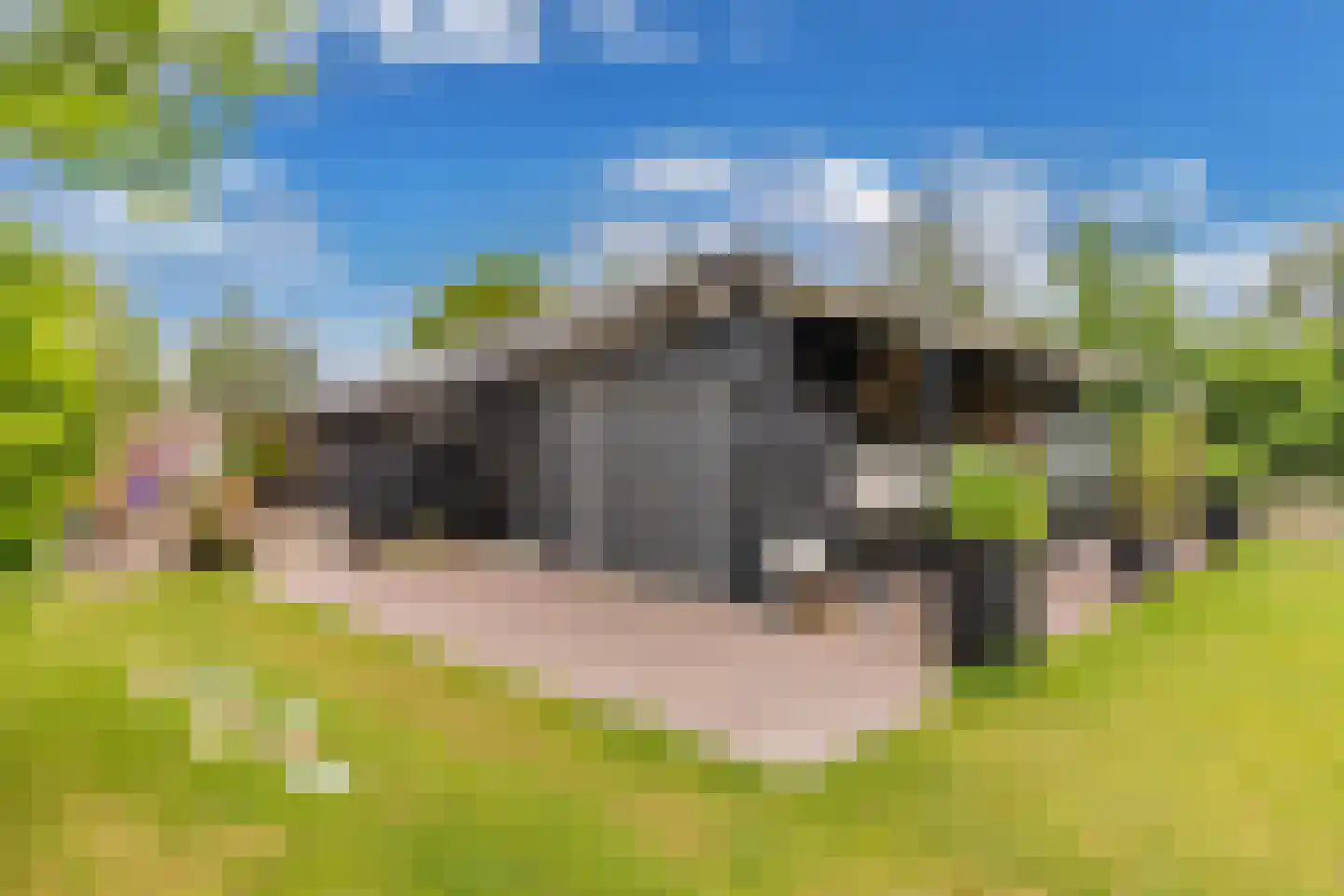 Oosterpaasloërweg 2 Paasloo thumbnail 57