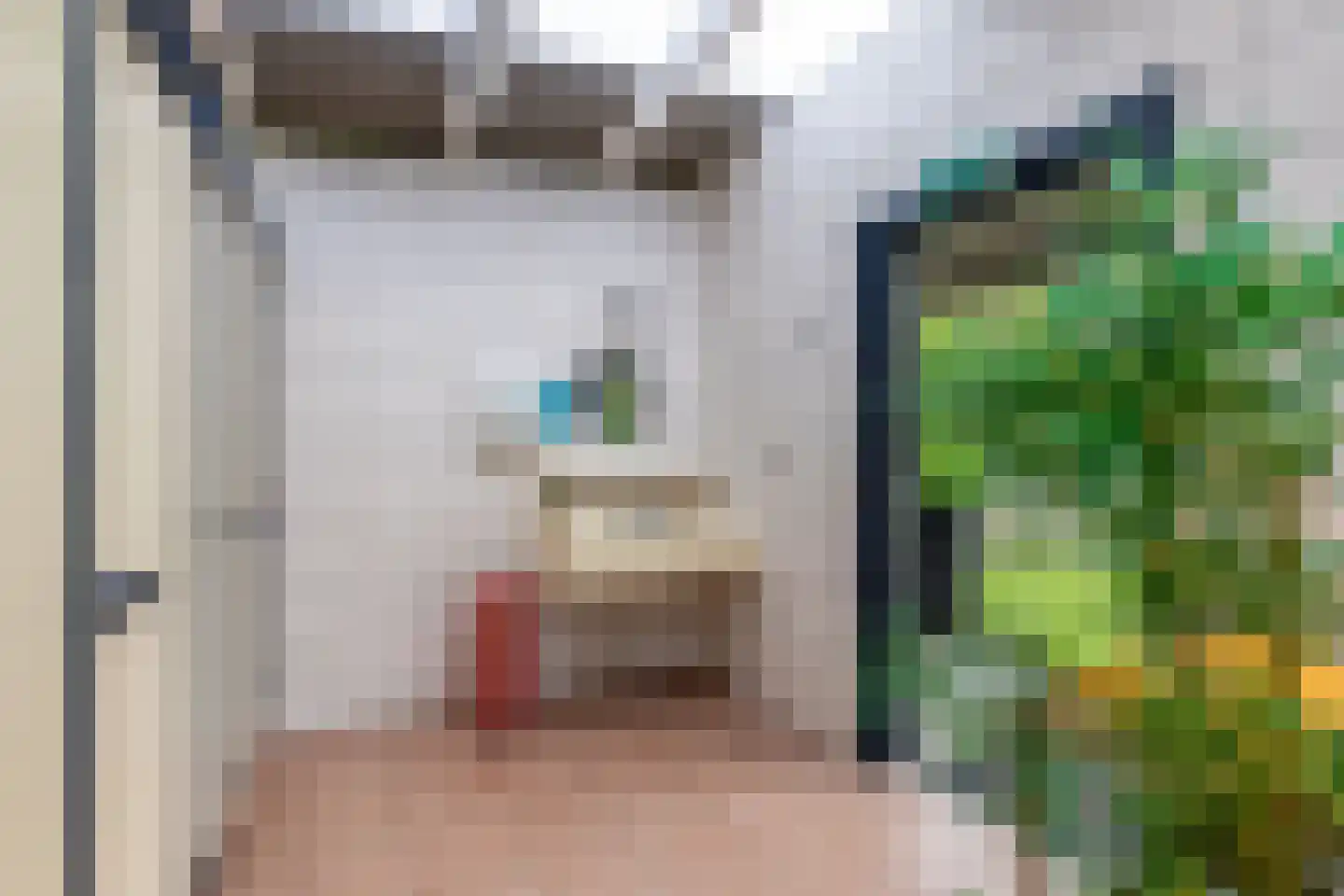Oosterpaasloërweg 2 Paasloo thumbnail 60