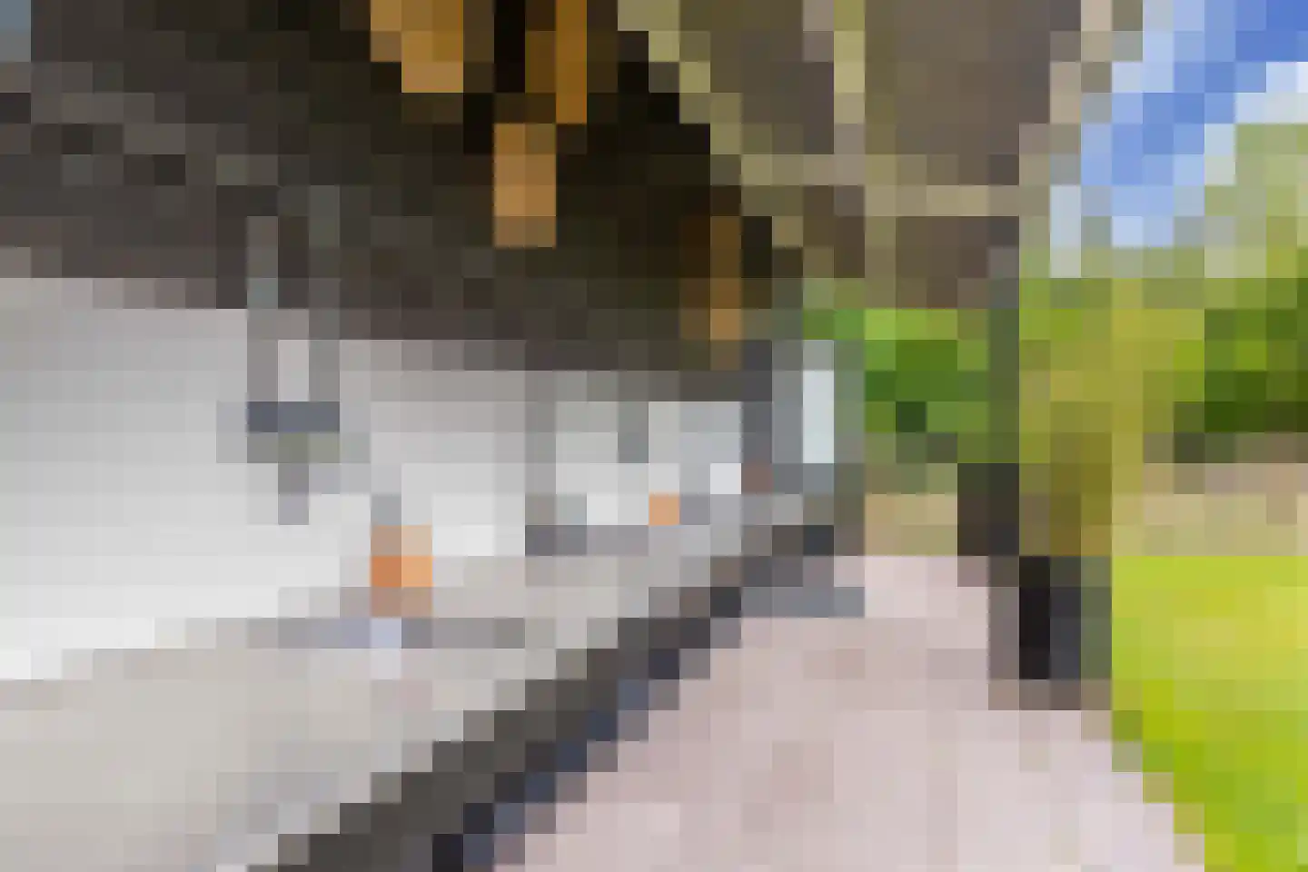 Oosterpaasloërweg 2 Paasloo thumbnail 61
