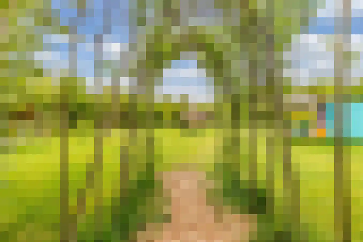 Oosterpaasloërweg 2 Paasloo thumbnail 63